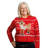 Rudolph Knit Crop Sweater