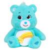 Wish Bear 14-Inch Care Bear