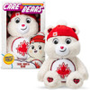 True North Bear - 14-Inch Care Bears Plush