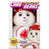 True North Bear - 14-Inch Care Bears Plush