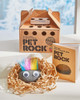 Pet Rock Lifestyle Image