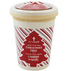 Grow Your Own Christmas Tree in Eco Cup