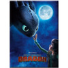 How to Train Your Dragon Flat Magnet