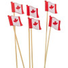 Canada Flag Picks - 80 Pieces 