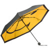 Smiley Umbrella