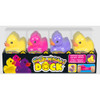 Squishi Ducks Retail Display