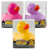 Squishi Duck in 3 Assorted Colours