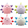 Chubby Axolotl