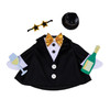 New Years Outfit for Giddy the Goose
