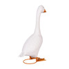 Rear View of Giddy the Goose