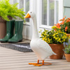 Giddy the Goose in the Spring