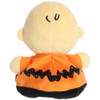 Palm Pals Peanuts - Masked Charlie Brown