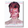 David Bowie Aladdin Sane Magnet