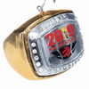 Toronto Raptors 2019 NBA Finals Champions Ring Ornament Side