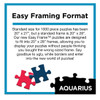 Aquarius Easy Framing Format