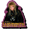 Labyrinth Jareth magnet