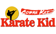 Cobra Kai Karate Kid