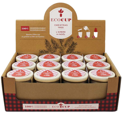 Grow Your Own Christmas Tree in Eco Cup Grow Your Own Christmas Tree in Eco Cup