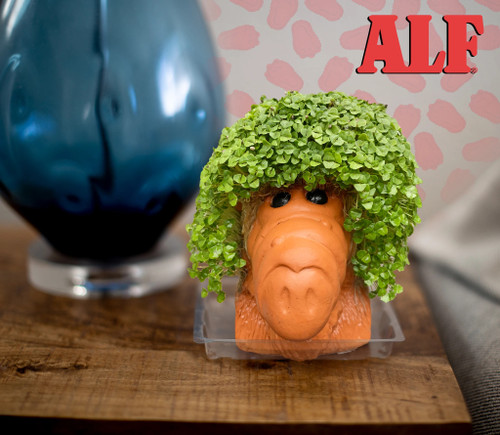 Chia Pet, Decorative Pottery Planter Bob Ross The Joy of Painting, Novelty  Gift