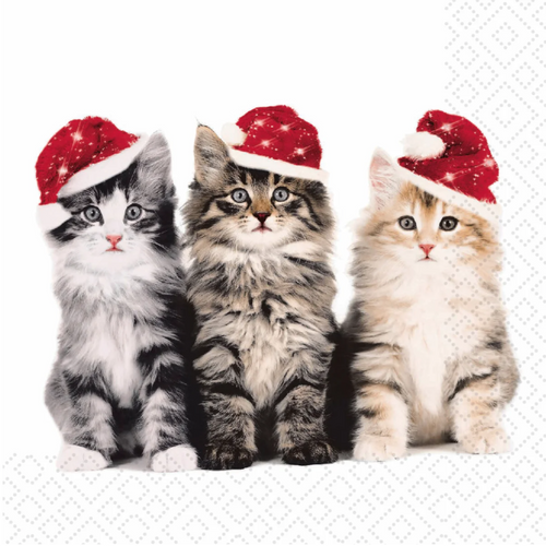 Christmas Cats Napkins