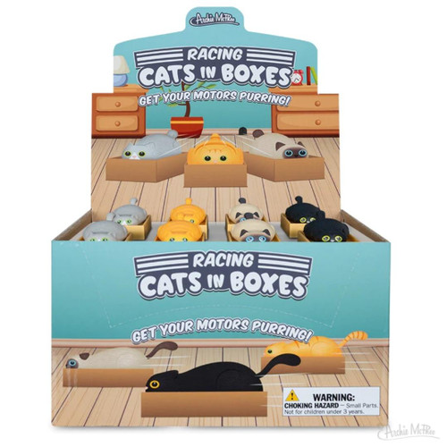 Racing Cats In Boxes Display Case 