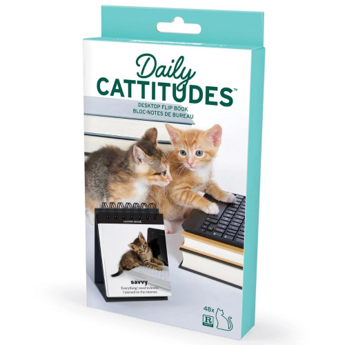 Daily Cattitudes Desk Flipchart Packaged View  Daily Cattitudes Desk Flipchart Packaged View