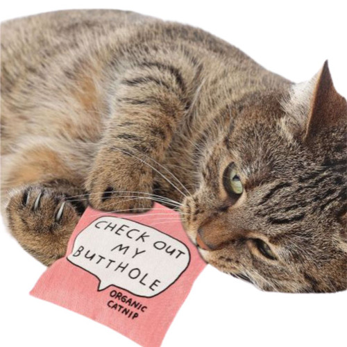 Check Out My Butthole Catnip Cat Toy Check Out My Butthole Catnip Cat Toy