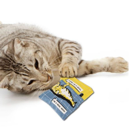 I Think Your Cat Is High Catnip Cat Toy I Think Your Cat Is High Catnip Cat Toy