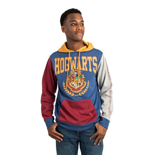 Hogwarts Multi-Colour Hoodie on Model Hogwarts Multi-Colour Hoodie on Model