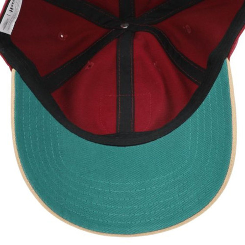 Harry Potter Gryffindor House Dad Cap