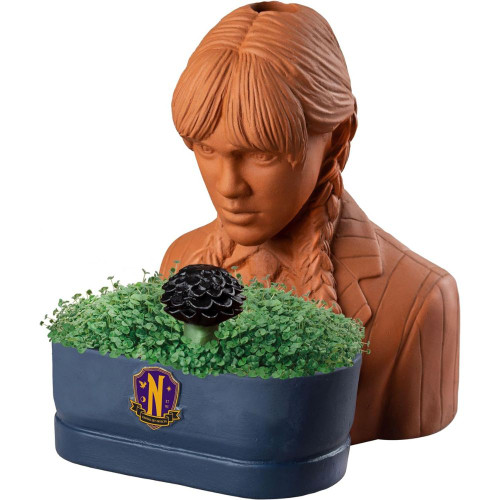 Chia Pet: Wednesday Addams Chia Pet: Wednesday Addams