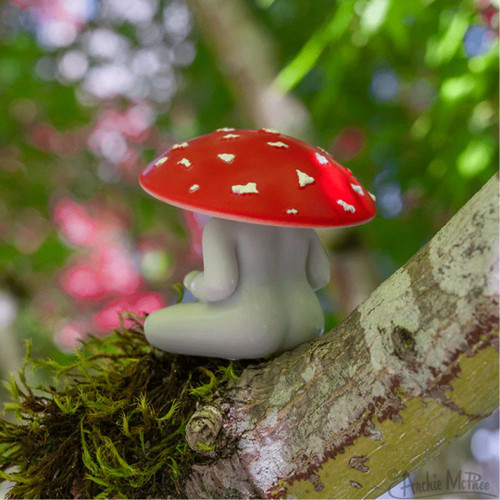 Meditating Mushroom