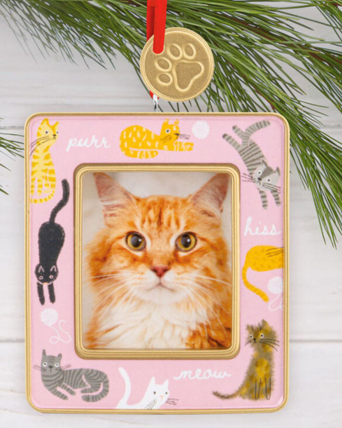 Playful Kitties Photo Ornament by Hallmark