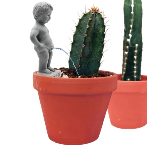 Pee My Plants Watering Decoration 