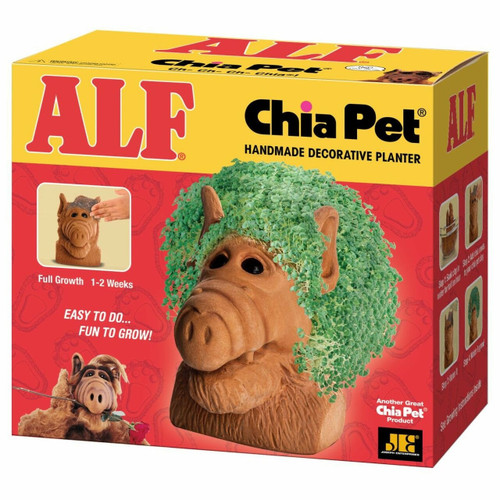 Alf Chia Pet in Box