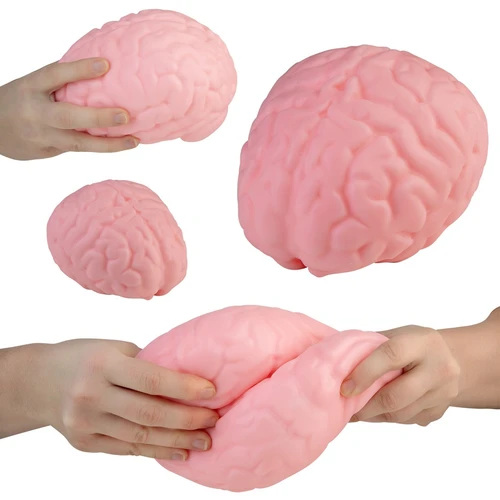 In Action: Easy Sqweey Jumbo Brainy Squish Toy