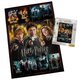 Harry Potter Movie Poster Puzzle