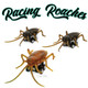 Racing Roaches - Set of THREE