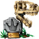 LEGO Jurassic World: Dinosaur Fossils: T.rex Skull