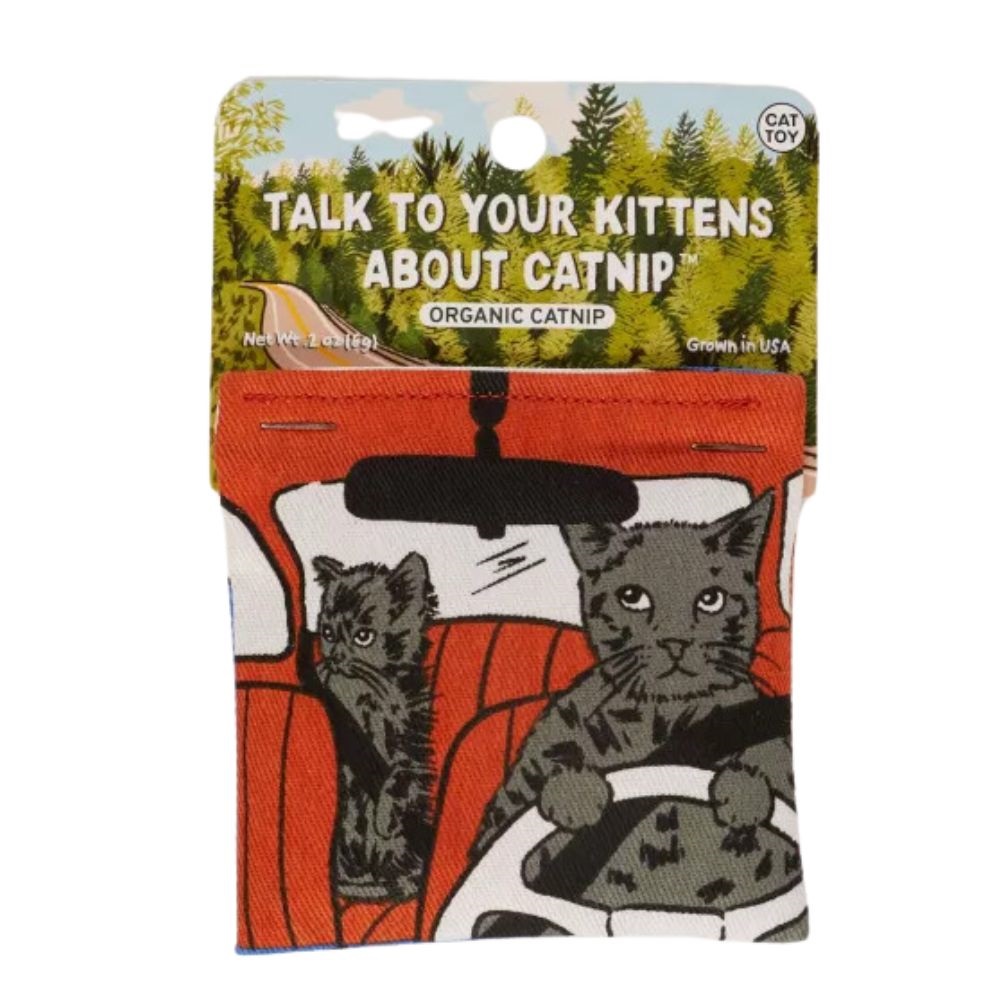 Talk to Your Kittens About Catnip Cat Toy - RetroFestive.ca