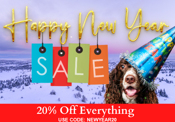 new-year-2025-email.png