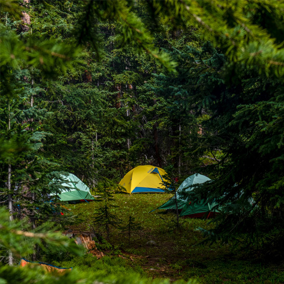 tents and shelters