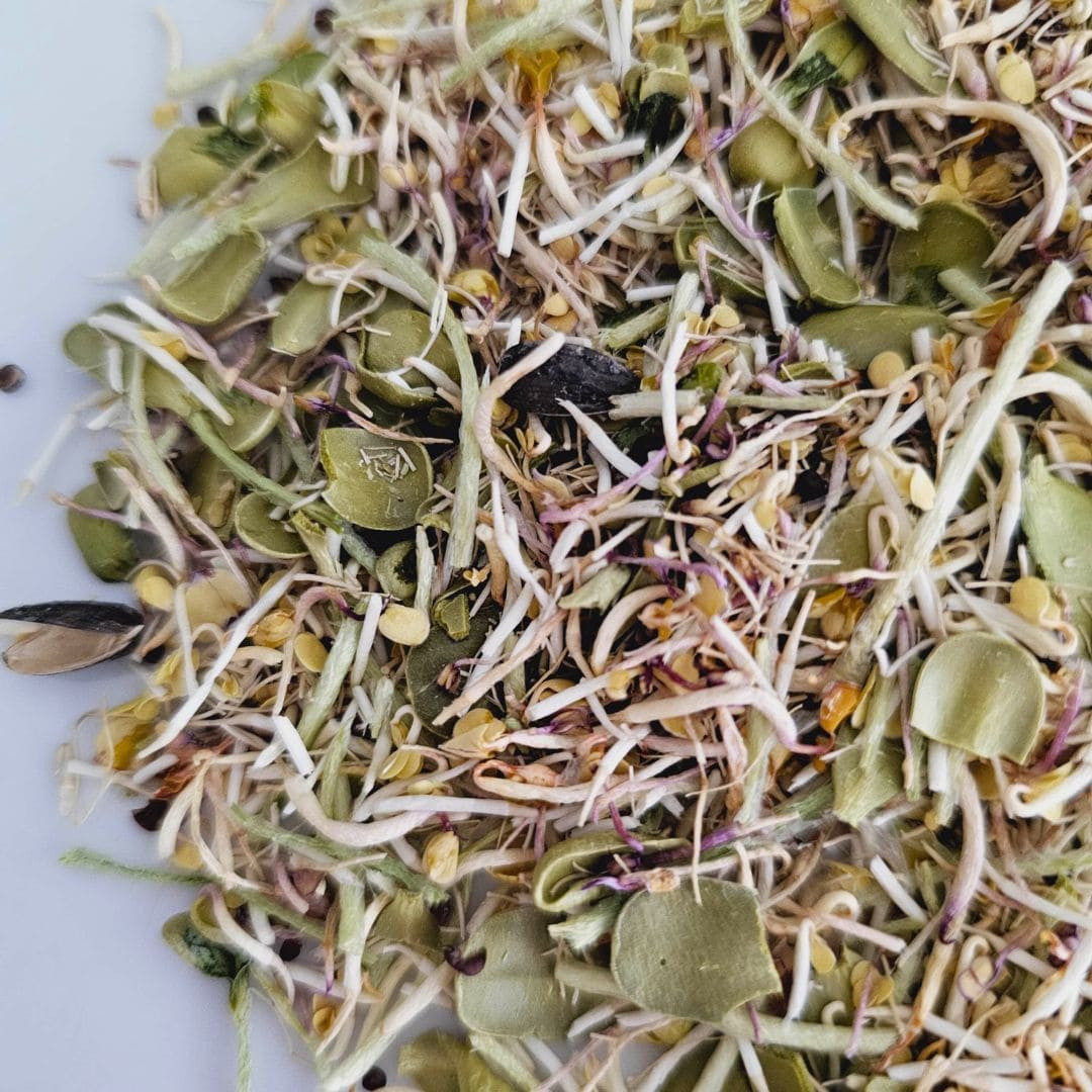 Tasty Sprouts 70g | Freeze Dried - Pollys Natural Parrot Boutique