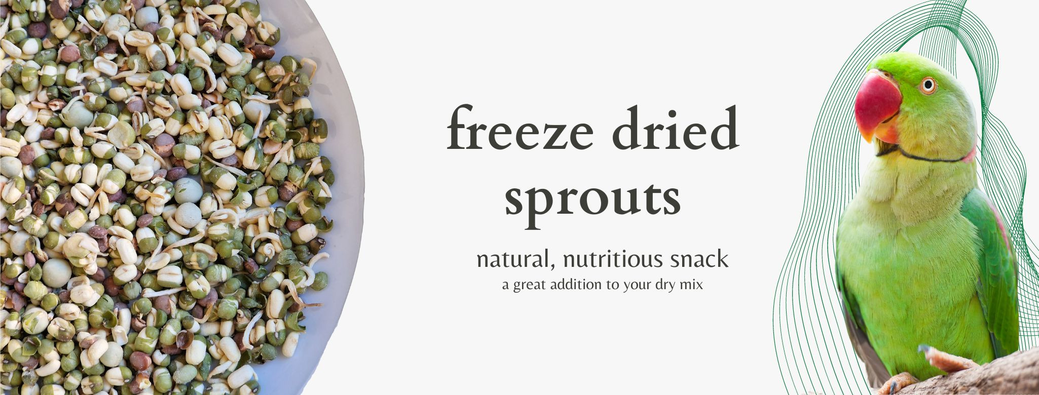 Organic Avian Herbal Teas and Complementary Natural Food for Parrots ...