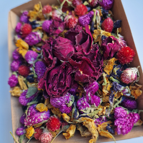 Blooming Garden- Edible flowers for parrots Blooming Garden- Edible flowers for parrots