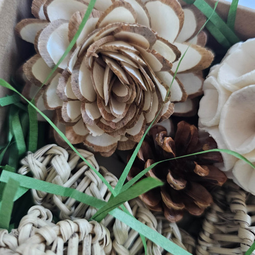 Parrot Natural Forage Treasure Box