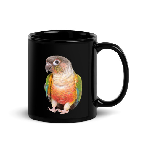 Witch Better Have My Crackers! | Black Glossy Mug