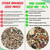 Comparison of seed mixes
