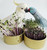 Polly & Rio love their Microgreens