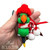 Male Eclectus